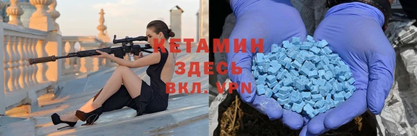 шишки Беломорск