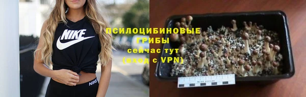 шишки Беломорск