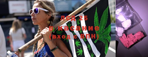 шишки Беломорск