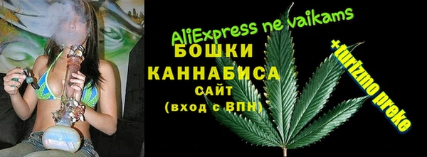 шишки Беломорск